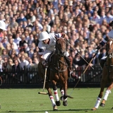 Polo, Commercial Wedding Photographers: Photoscience.co.uk